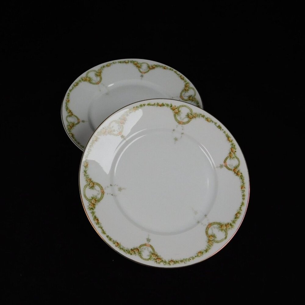 Lot of 2 Rosenthal Briar Rose Fine China Salad Plate 7 5/8" diameter Vintage